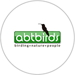 abtbirds